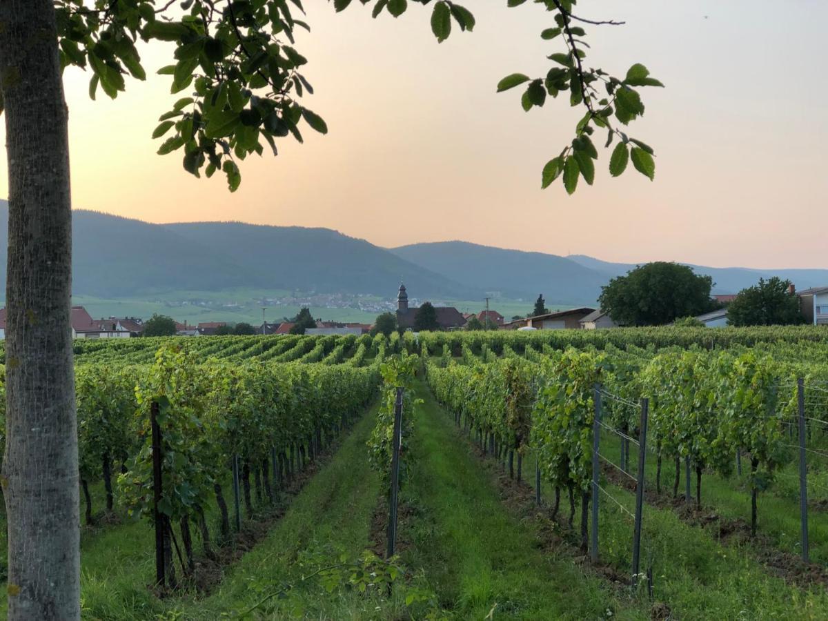 Ferienwohnung Suedpfalz Mit Fernblick Bochingen Екстер'єр фото
