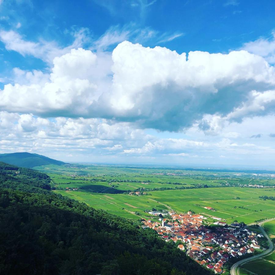Ferienwohnung Suedpfalz Mit Fernblick Bochingen Екстер'єр фото